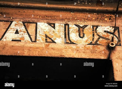 Anuspin9 Logo